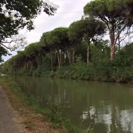 La Cantarelle